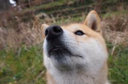英雄联盟总决赛赛程-沙漠风暴席卷中美洲，久保建英点亮2026世界杯D组，阿联酋用一场横扫定义唯一的足球逻辑
