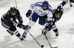 LOL赛事-当雄鹿被鹰影笼罩，库里如何以关键之翼改写了天空的法则