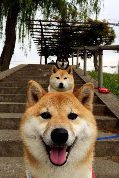 疆域式防守,当新疆策略在NBA压制国王,文班亚马逆境展露巨星锋芒