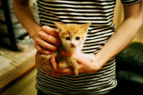 藏于剑鞘的利刃，武切维奇奇兵天降，76人攻陷不败雄鹿城