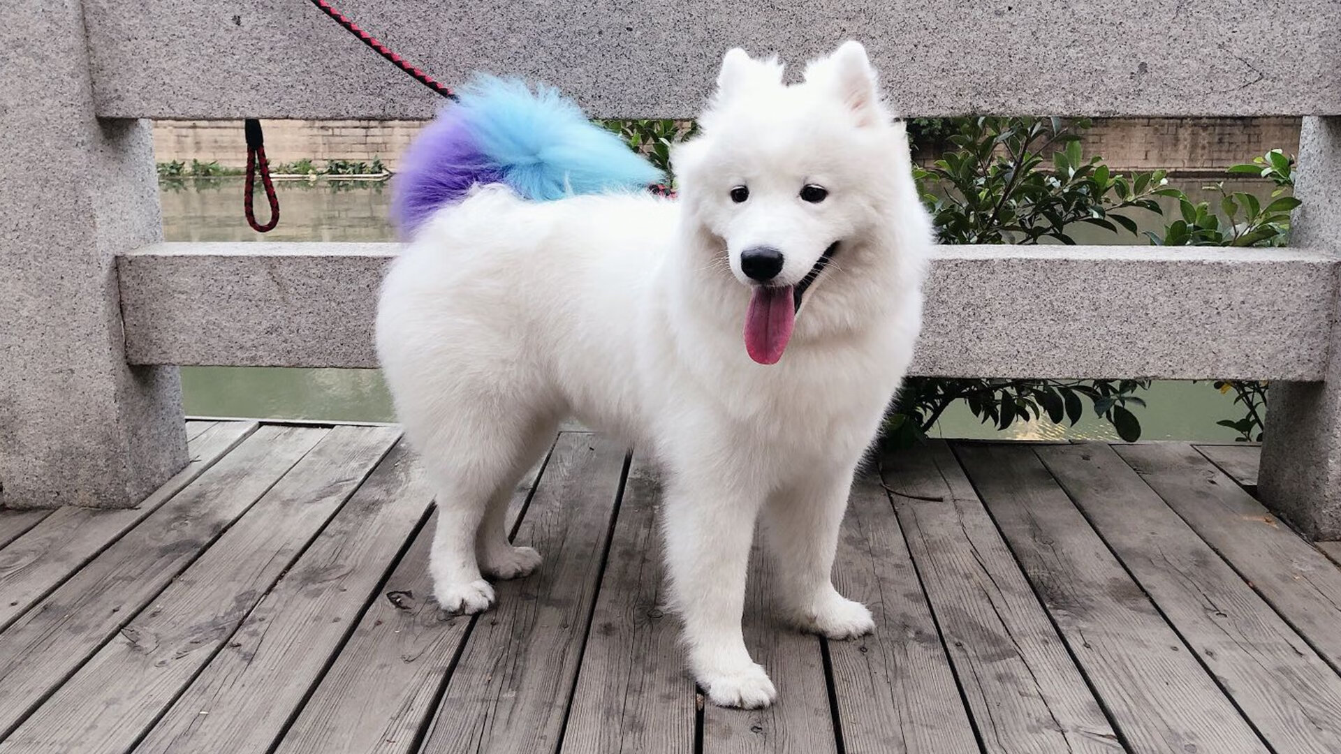 南美风暴席卷东决战场，玻利维亚爆冷精神如何照亮体育世界的暗黑荣耀