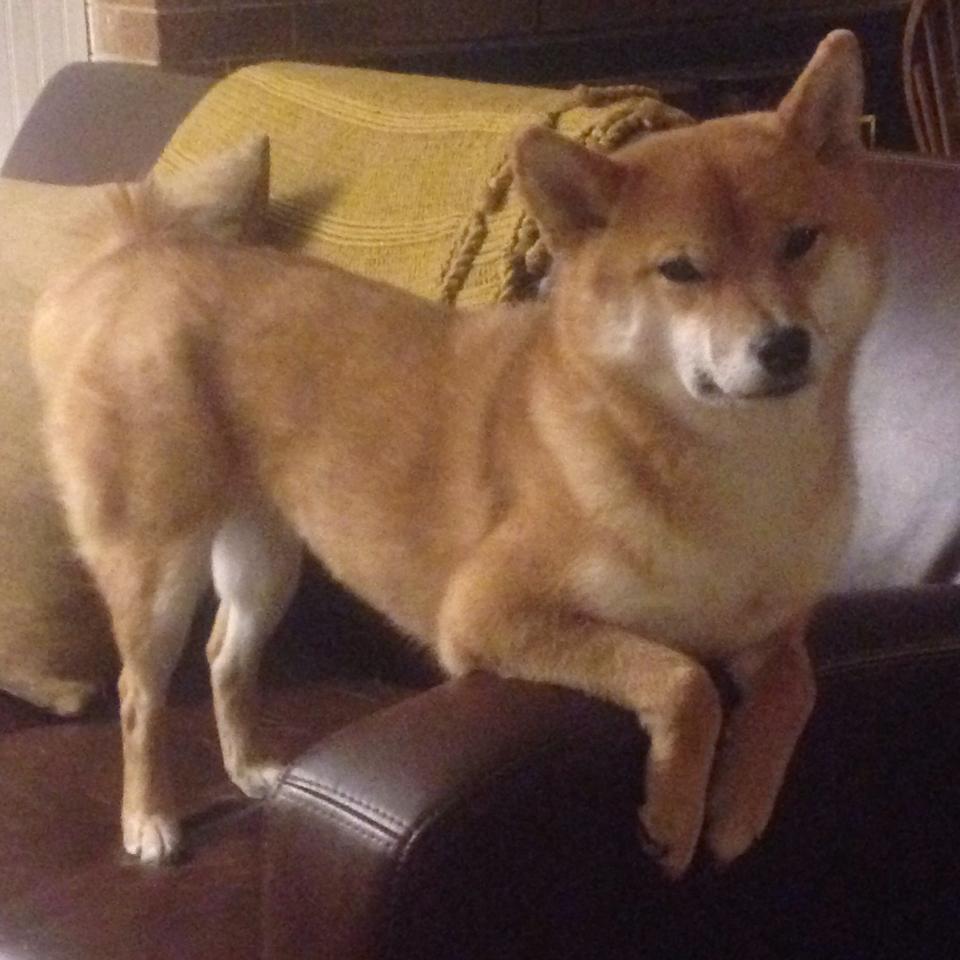 风雪五棵松，当NBA奇才队踏平广东宏远之夜