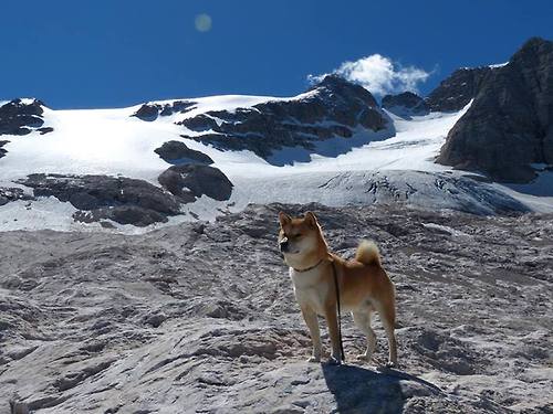 虚拟交锋，当北欧铁壁遭遇安达卢西亚飓风—卢卡库的节奏暴政