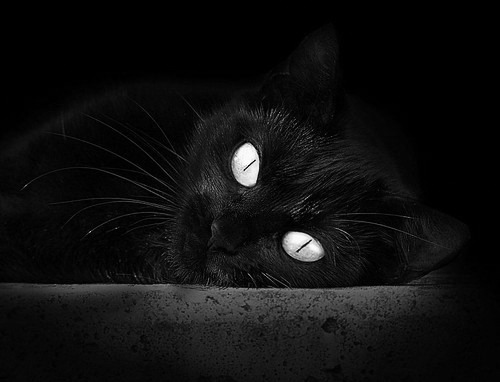 37岁的王冠,国家德比之夜,莫德里奇完成不可复制的千场传奇