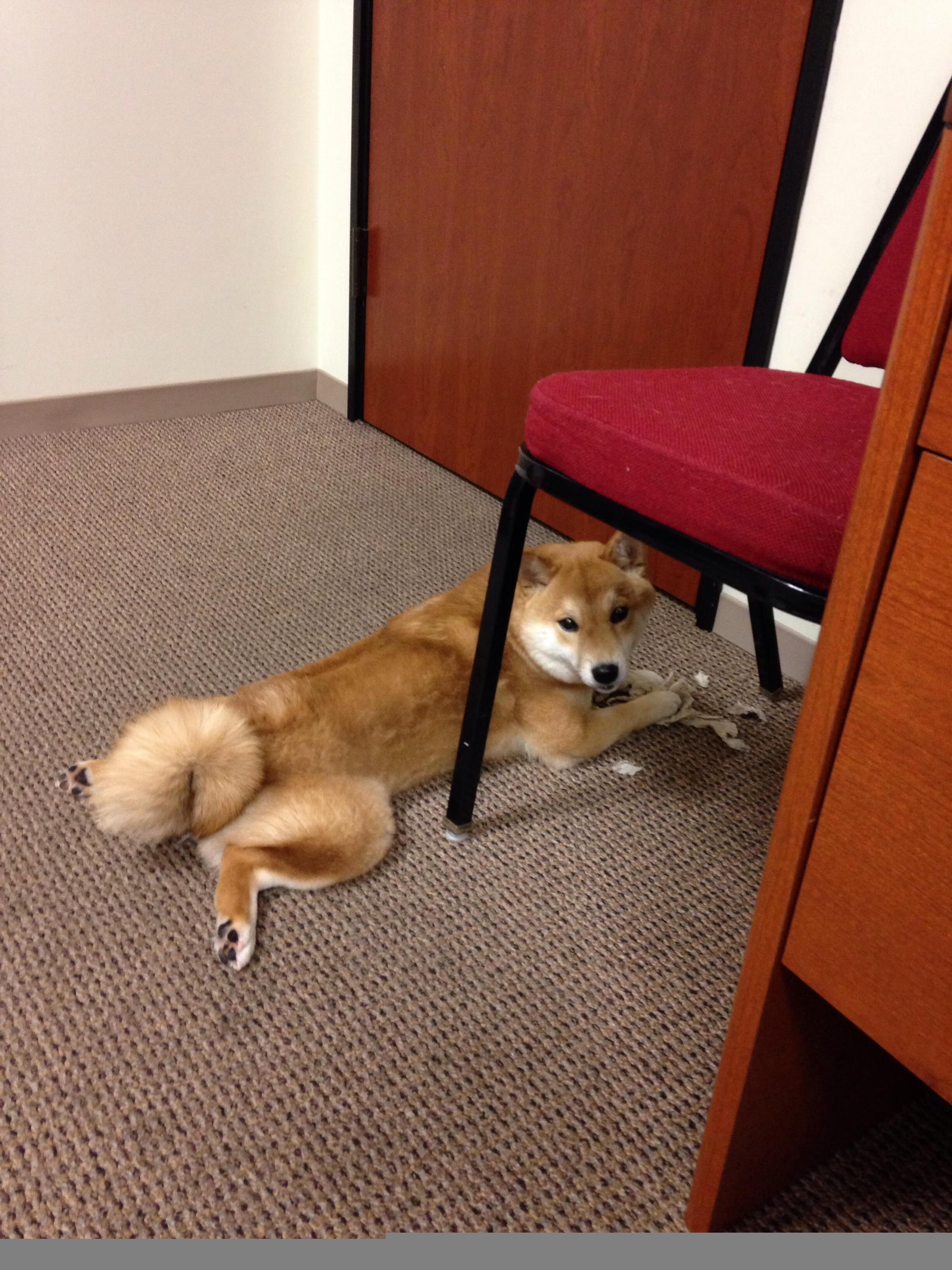 曼彻斯特的轰鸣与丹佛的寂静，当英超争冠夜与约基奇的罚球弧相遇