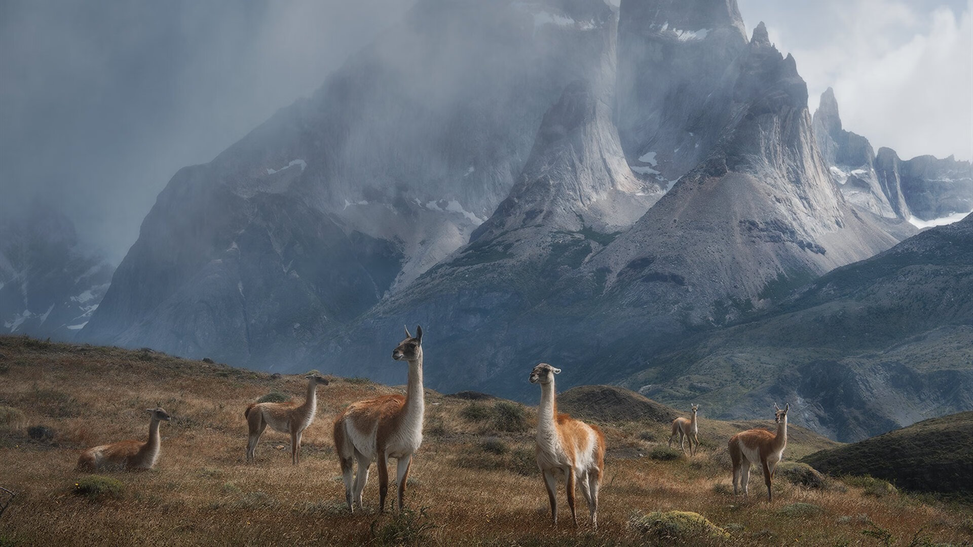 毫米的战争，当哈梅斯黄金弧线划破韩国门将最后0.01秒的希望