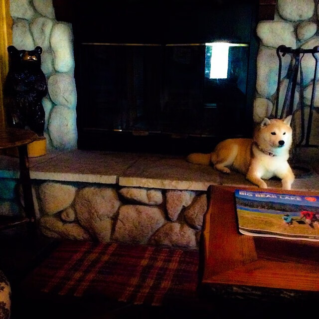 终场哨响前的神迹,基米希导演委内瑞拉马赛之夜