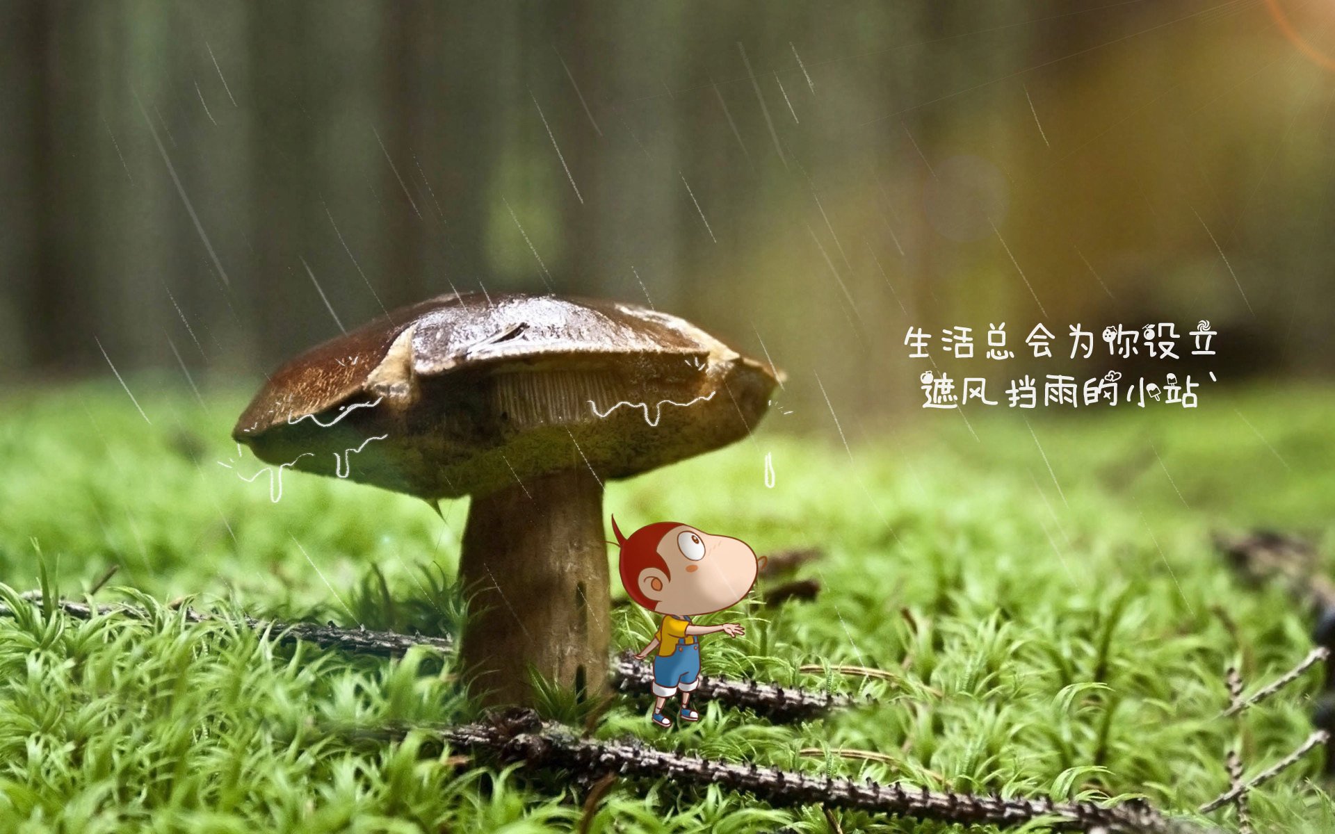 桑巴风暴席卷多哈，当美丽足球在2026世界杯八分之一决赛中完成终极进化