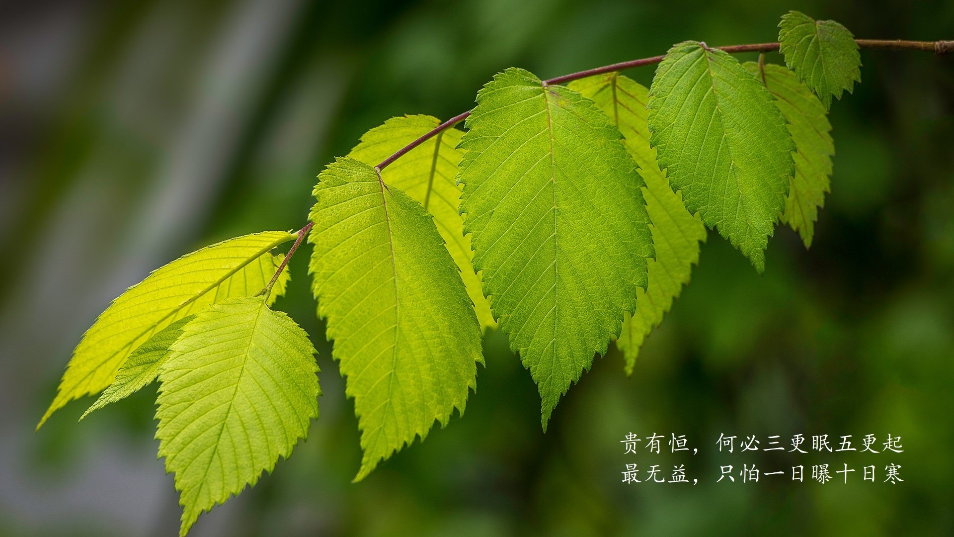 绝地突围，2026世界杯E组生死战，阿根廷逆转乌兹别克斯坦，巴雷拉一人改写命运