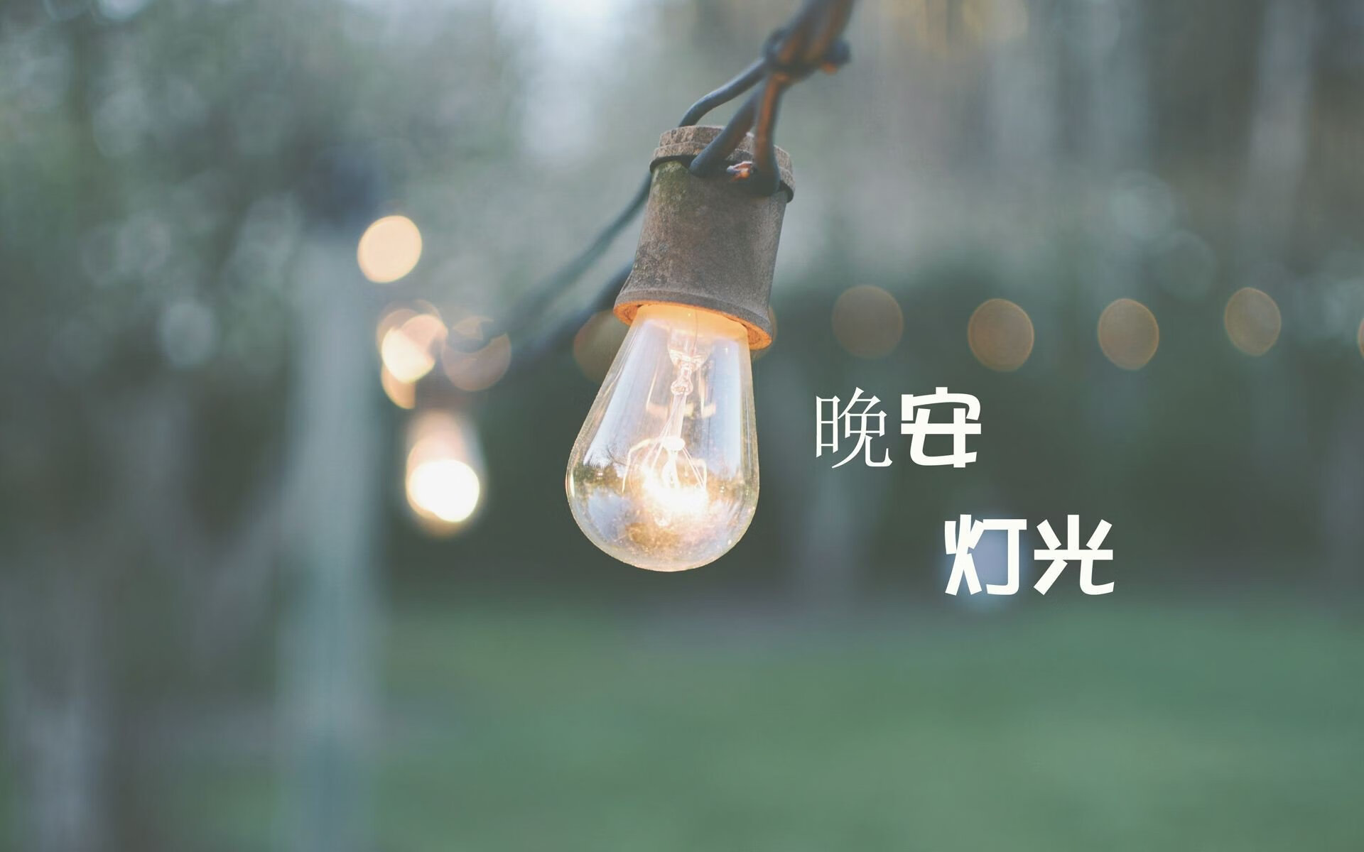沙漠绿洲的陷落,哥斯达黎加闪电反击撕碎阿联酋,费利克斯导演D组生死战