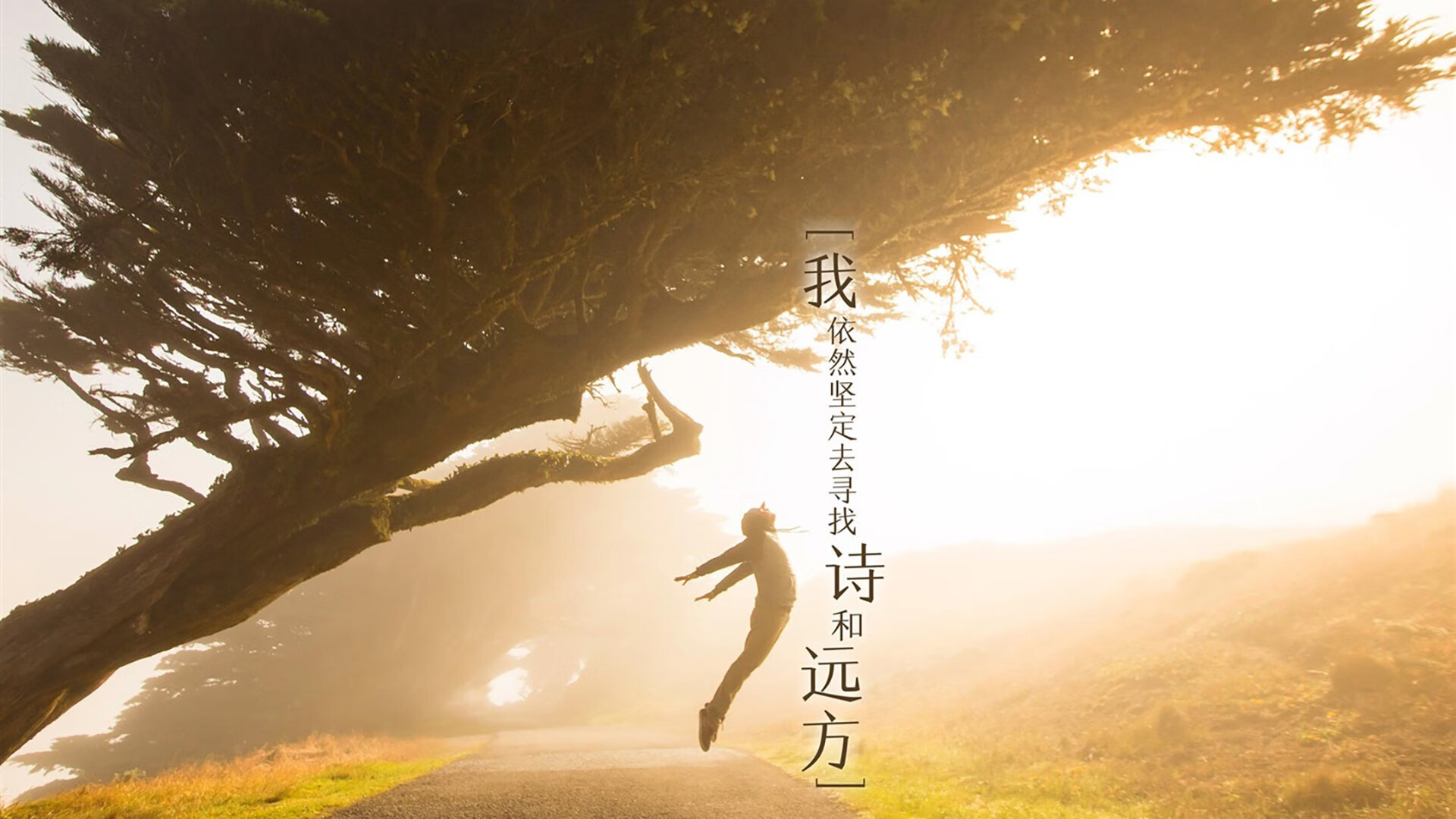 节奏之王的加冕,穆西亚拉在韩墨生死战中的唯一性诠释