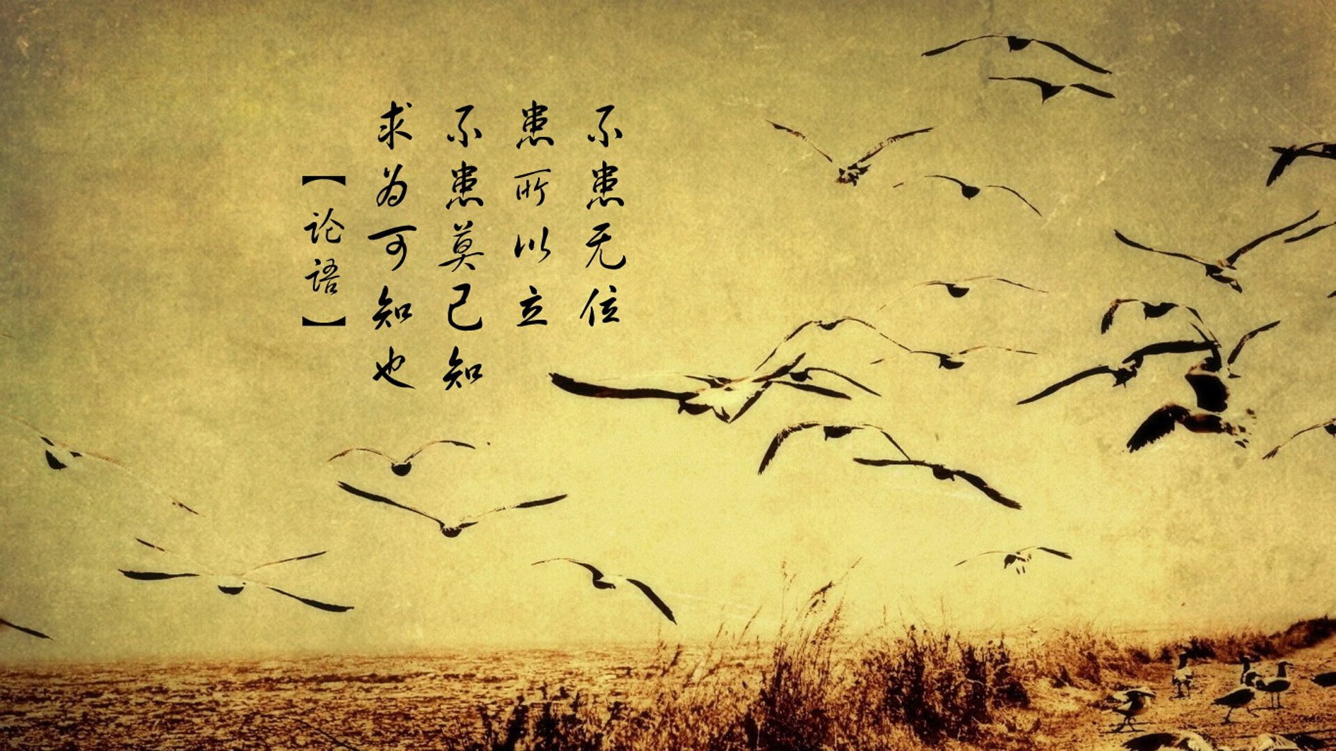 沙漠风暴,2026世界杯A组焦点战,卡塔尔爆冷击败波兰,穆西亚拉独舞成唯一主角